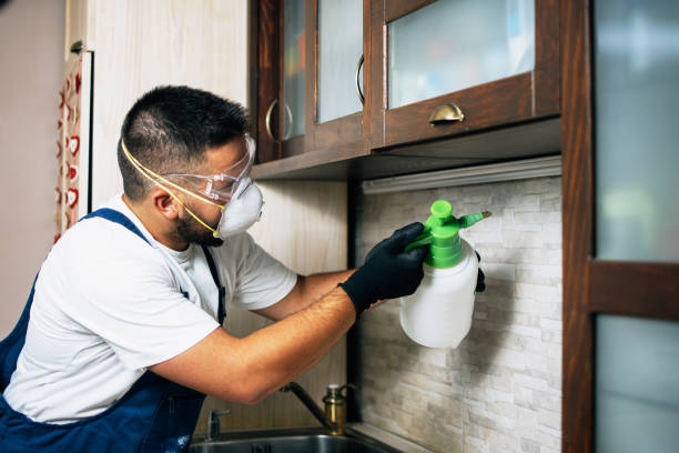 Best Bed Bug Extermination  in Lawrenceburg, KY