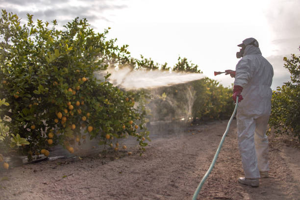 Trusted Lawrenceburg, KY Pest Control Experts
