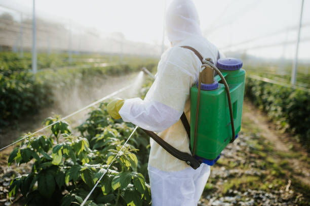 Best Exterminator Services  in Lawrenceburg, KY